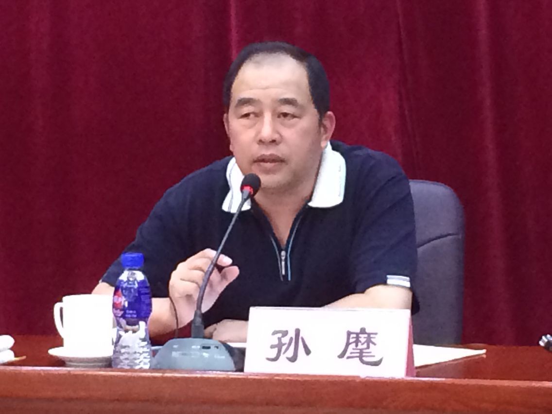 中国社会科学院孙麾研究员作报告