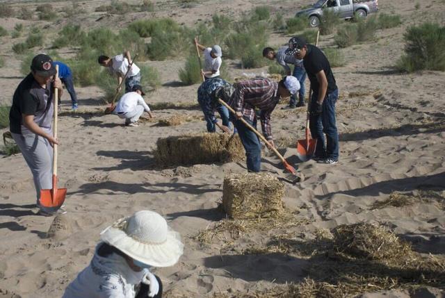 beat365学子领衔赴甘肃民勤固沙护林